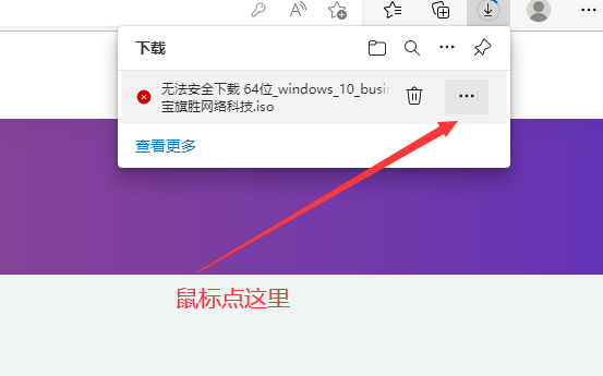 在win10-11自带浏览器通过网页服务器下载提示无法安全下载怎么办-旗胜科技淘宝内部专用